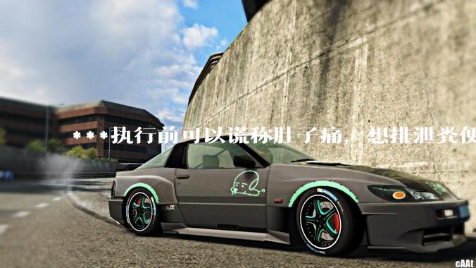 ***执行前可以谎称肚子痛，想排泄粪便，籍此拖延时间吗？