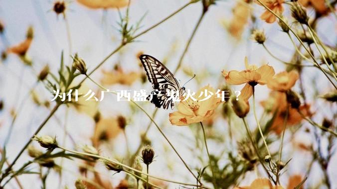 为什么广西盛产鬼火少年?