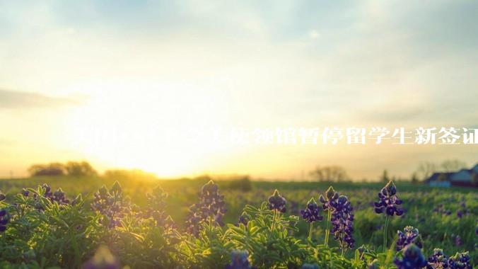 美国***下令美使领馆暂停留学生新签证面谈，将带来哪些影响？美国大学在全球人才竞争中还有优势吗？