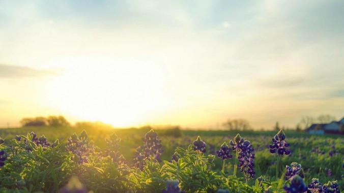 ***《凡人修仙传》有哪些令人伤感的情节？